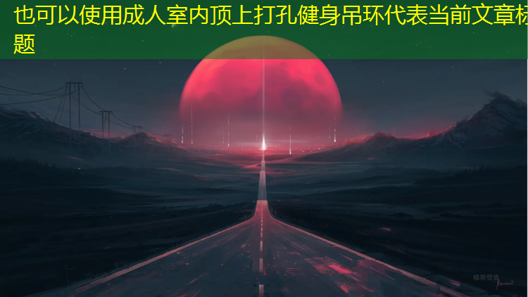 <strong>成人室内顶上打孔健身吊环</strong>